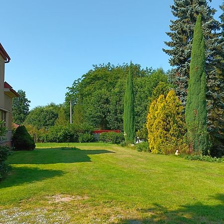 Ferienwohnung Apartman Za Lesem Červený Kostelec Exterior foto