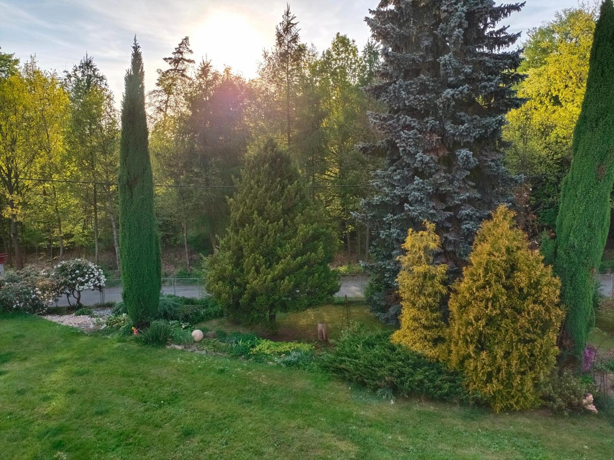 Ferienwohnung Apartman Za Lesem Červený Kostelec Exterior foto